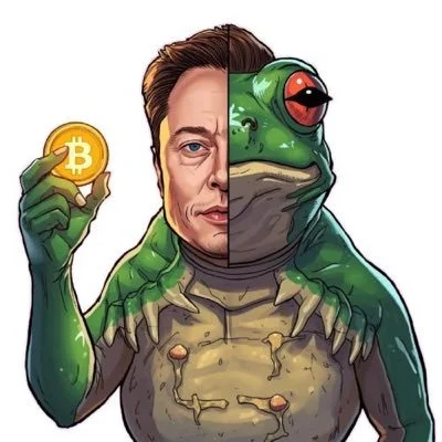 ELONPEPE Presale | Crypto memecoin project