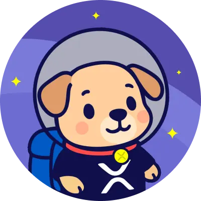 SpaceXRP Presale | Crypto memecoin project