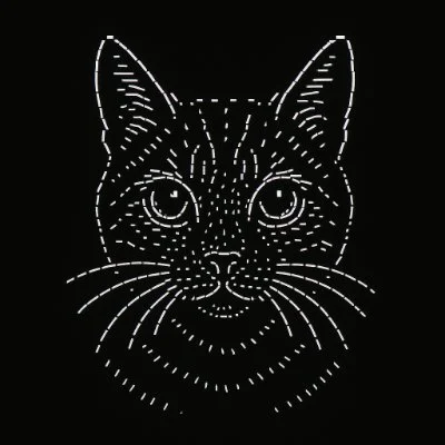 CAT COIN token Presale News