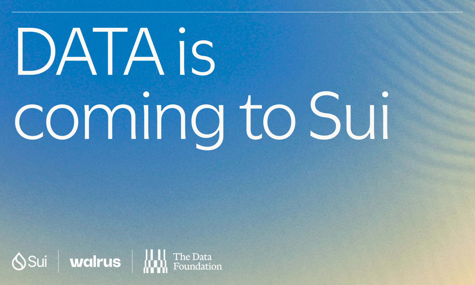 DATA Network joins Sui and Walrus to scale th ...