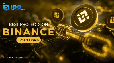 Binance Blockchain Token Use: Guide for Early Crypto Users
