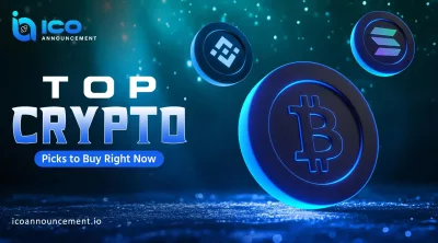Top Crypto Picks to Buy Right Now for New Market Learners