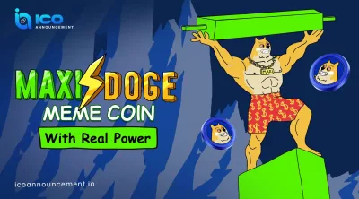 MAXI DOGE Coin Presale Overview and Risk Explanation Guide